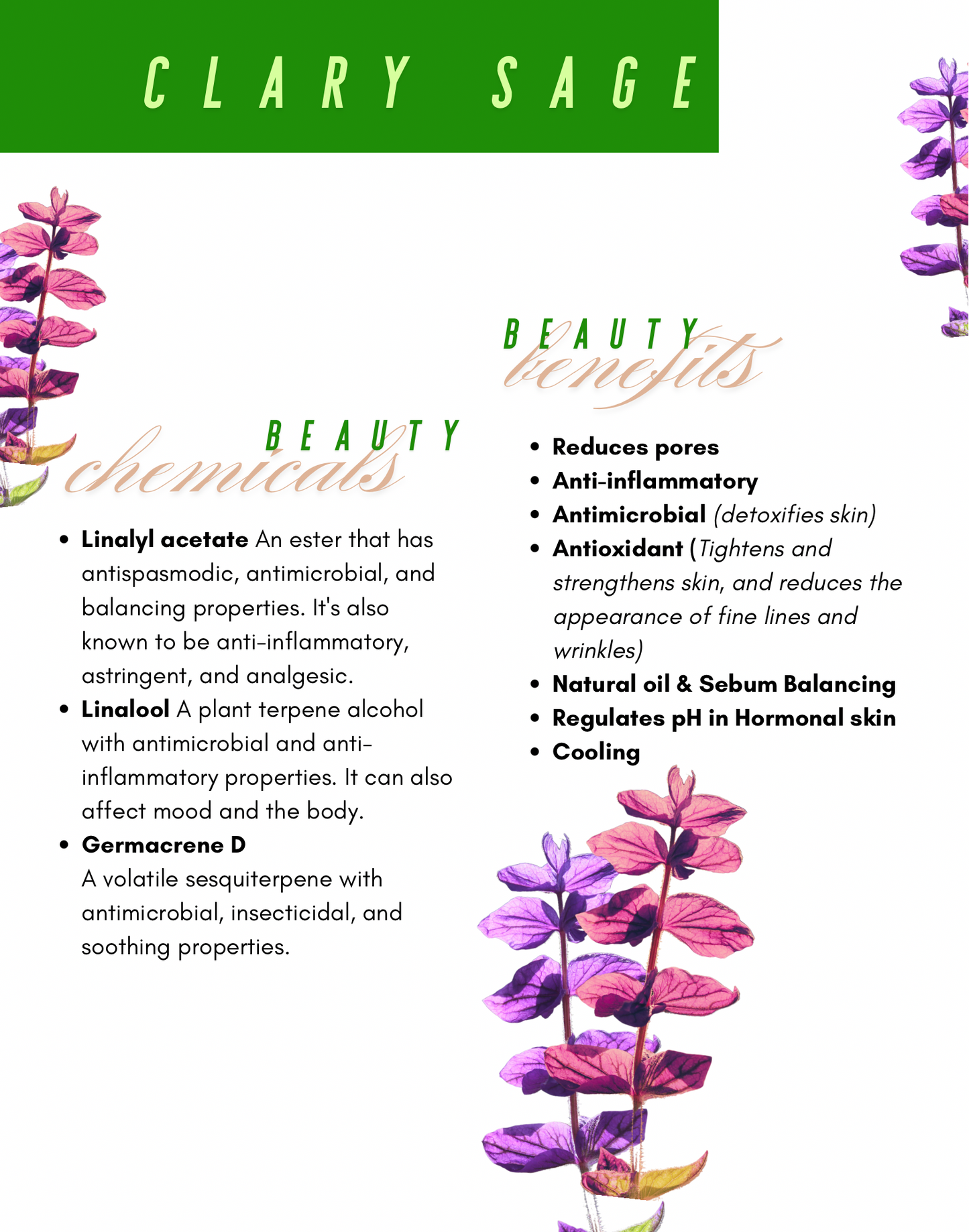 Flower Water Face Toner Set
