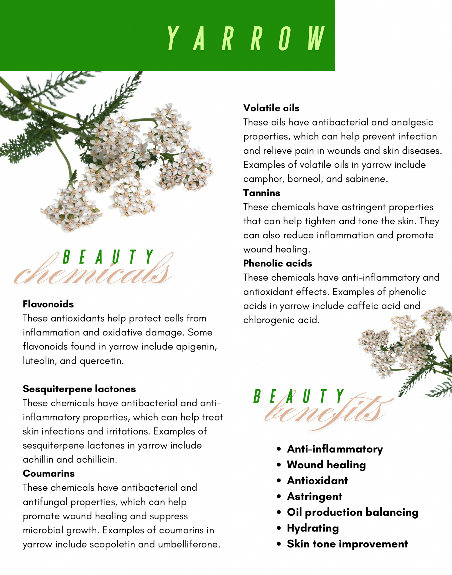 Flower Water Face Toner Set