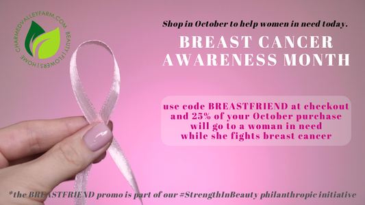 BREASTFRIEND October Breast Cancer Awareness Campaign
